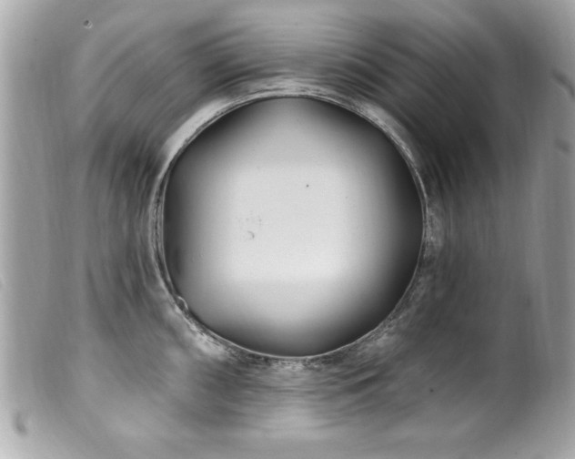 X0000100211098200805301321