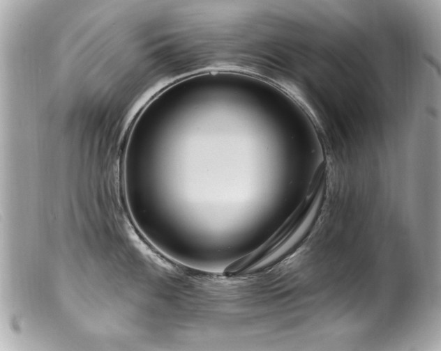 X0000100211100200805301321