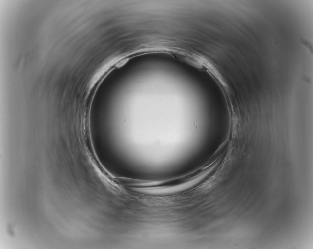 X0000100211101200805301320