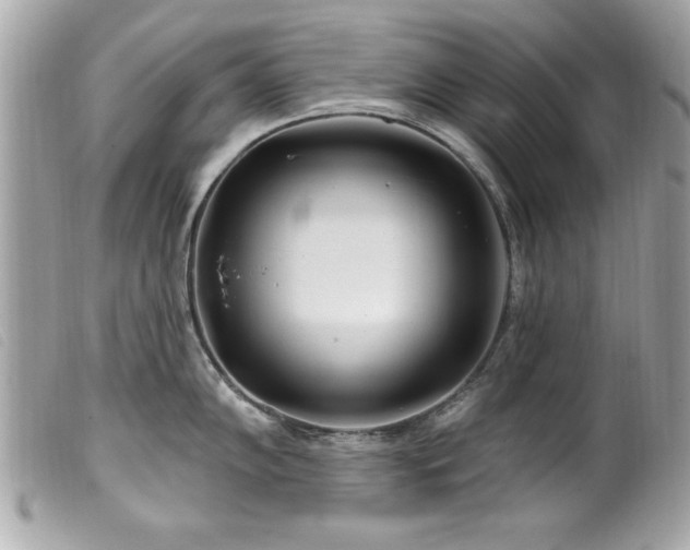 X0000100211102200805301320