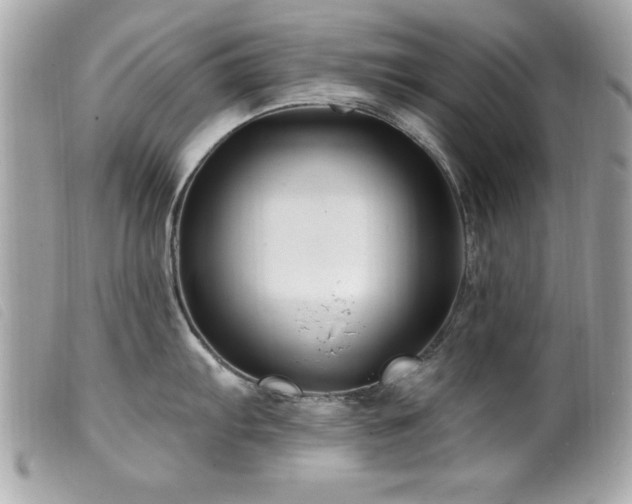 X0000100211103200805301320