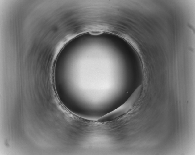 X0000100211104200805301320