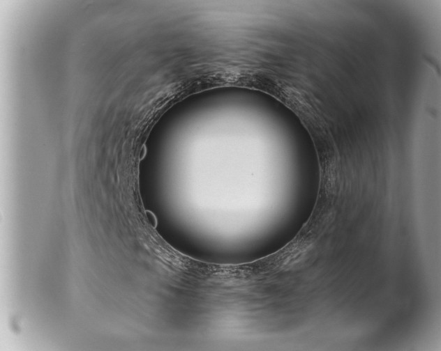 X0000100211105200805301320