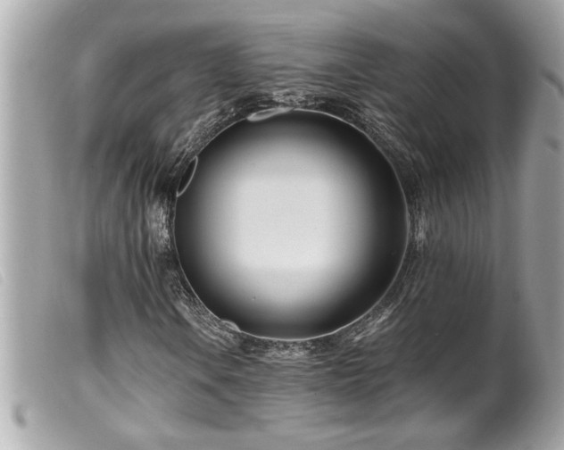 X0000100211106200805301320