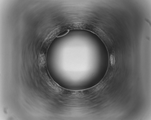 X0000100211107200805301320