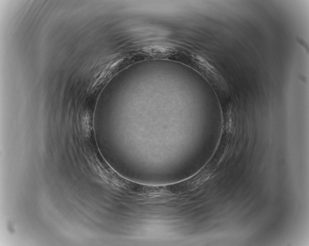 X0000100211108200805301320