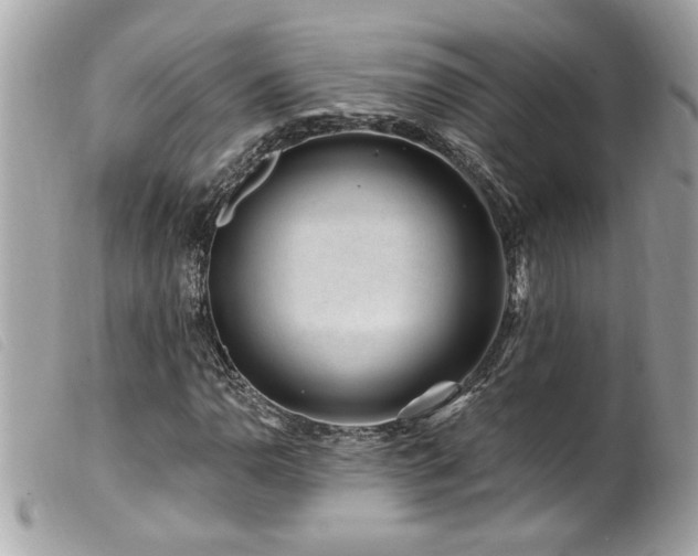 X0000100211110200805301320