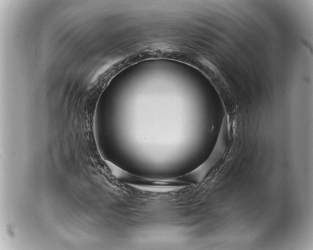 X0000100211112200805301320