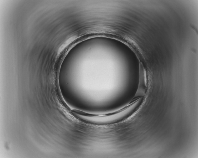 X0000100211114200805301320