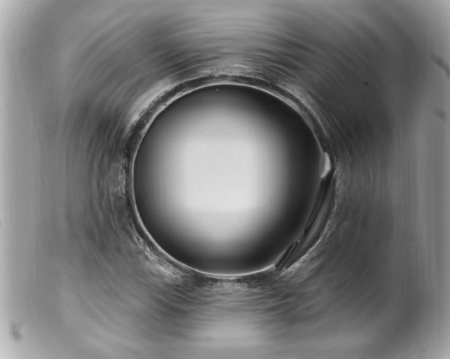 X0000100211115200805301320