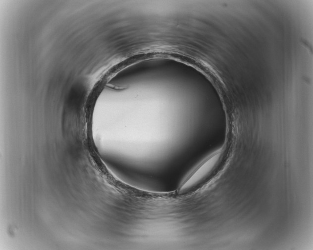 X0000100211117200805301320
