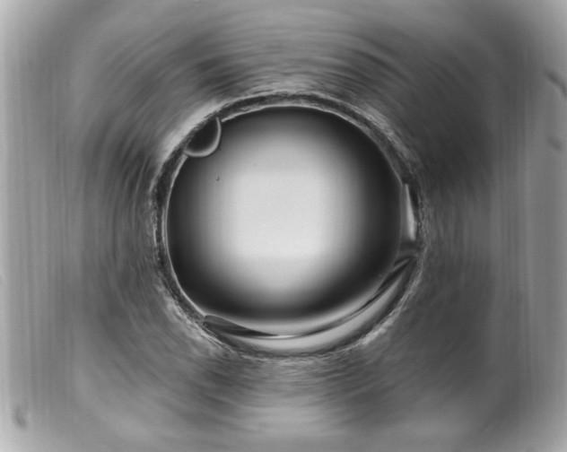X0000100211118200805301320