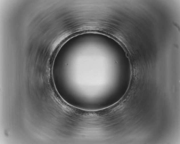 X0000100211119200805301320