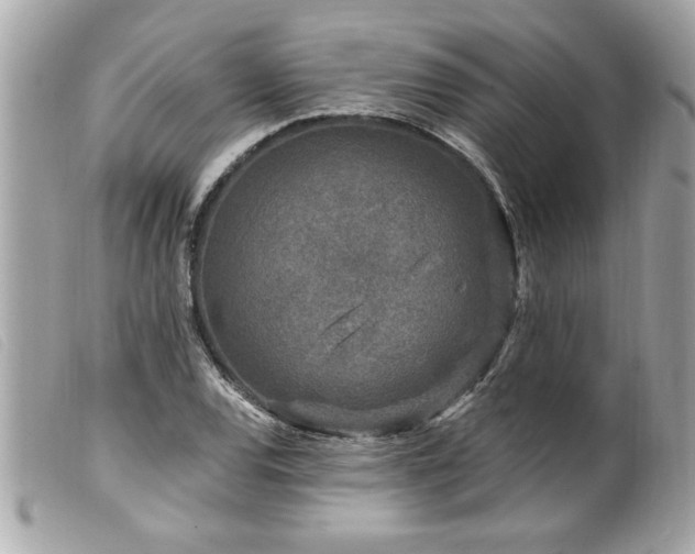 X0000100211120200805301320