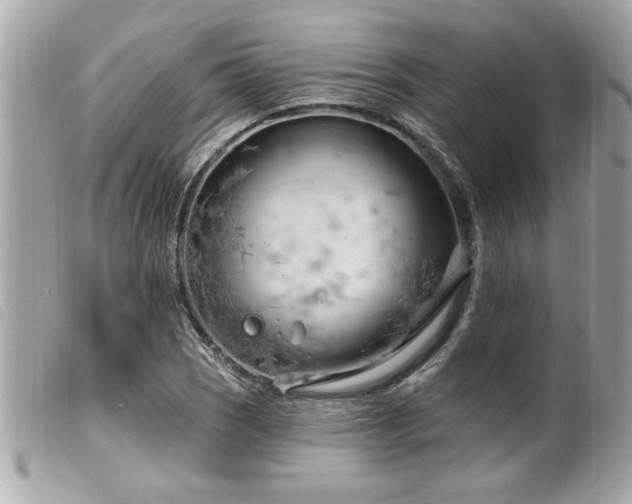 X0000100211121200805301320