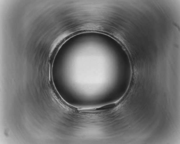 X0000100211123200805301320