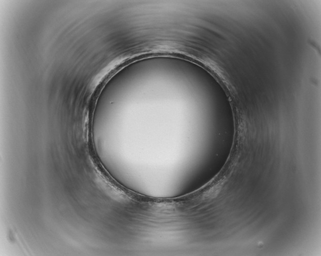 X0000100211126200805301320