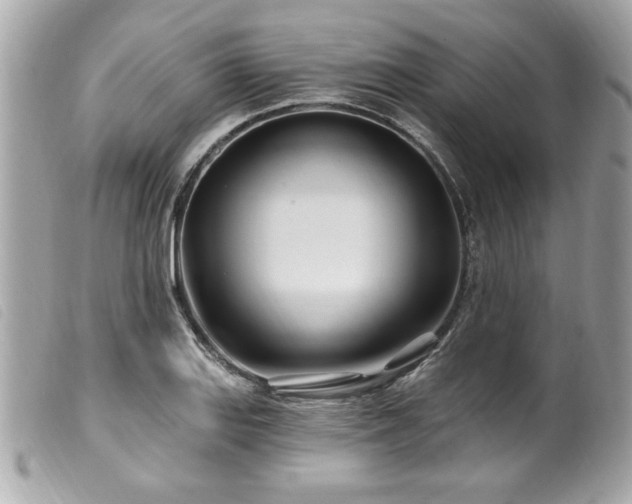 X0000100211127200805301320