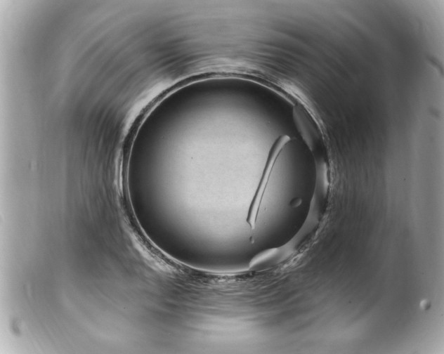 X0000100211128200805301320