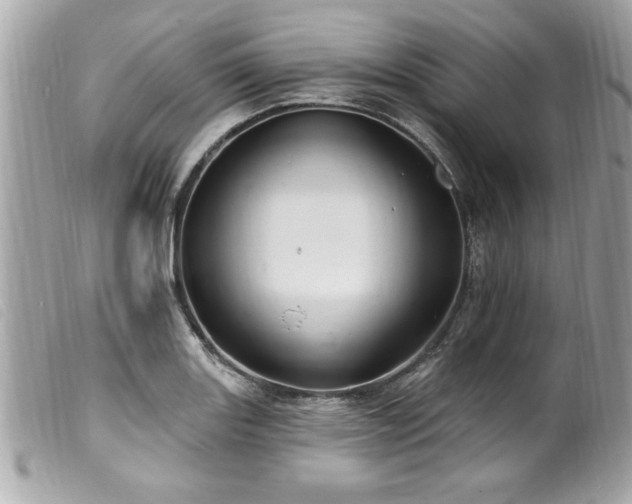 X0000100211131200805301320