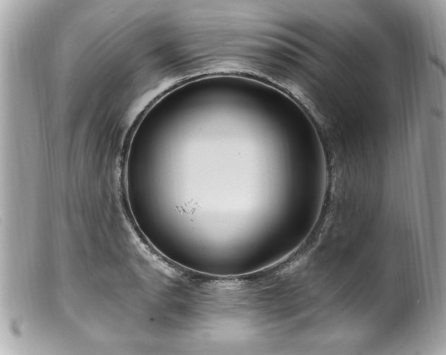 X0000100211134200805301320