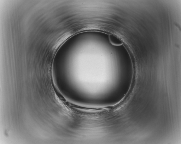 X0000100211137200805301320