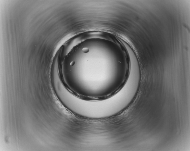 X0000100211138200805301320