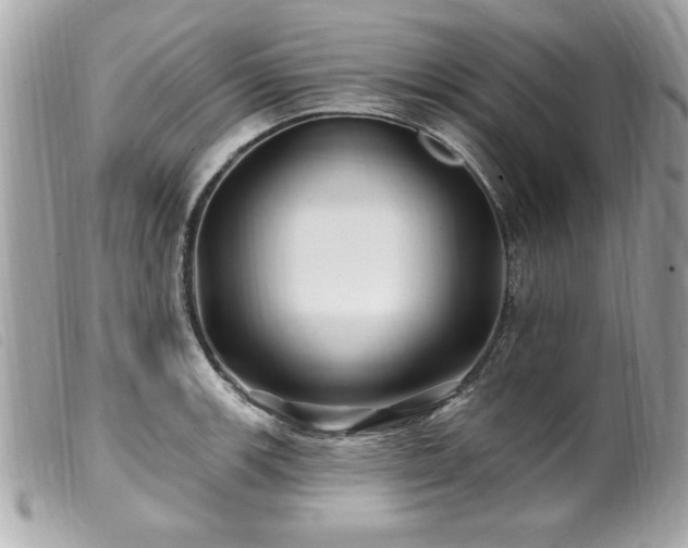 X0000100211139200805301320