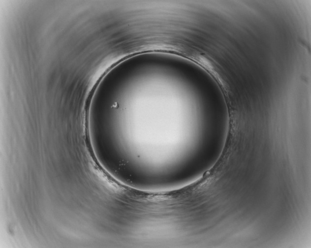 X0000100211140200805301320