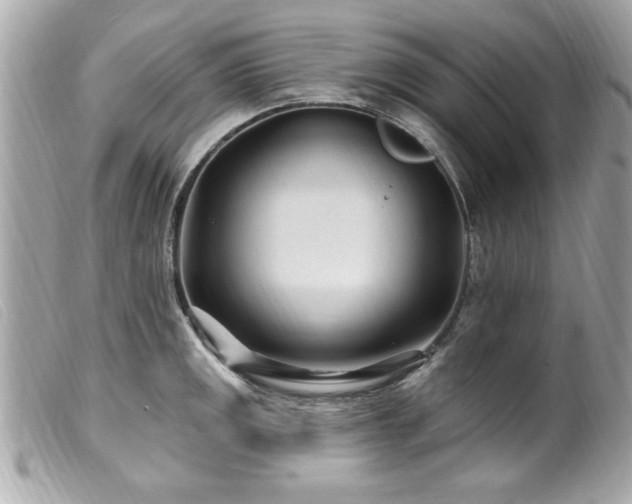 X0000100211141200805301320