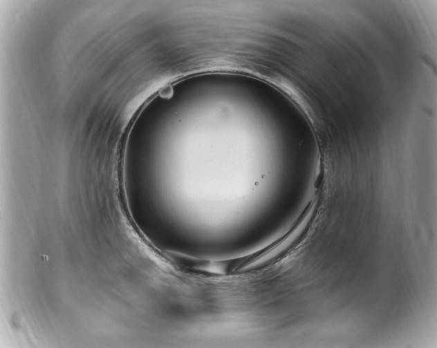 X0000100211142200805301320