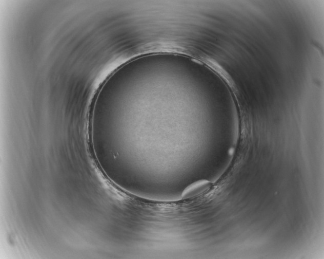 X0000100211144200805301320