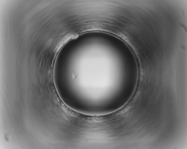 X0000100211145200805301320