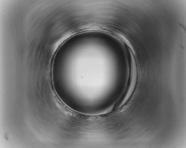 X0000100211146200805301320