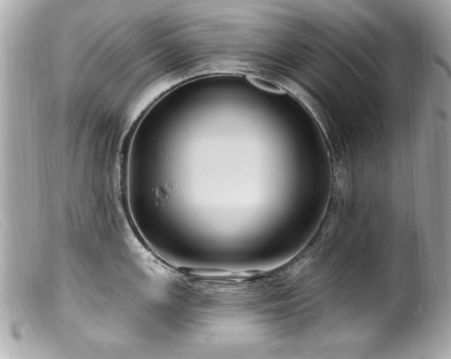 X0000100211147200805301320