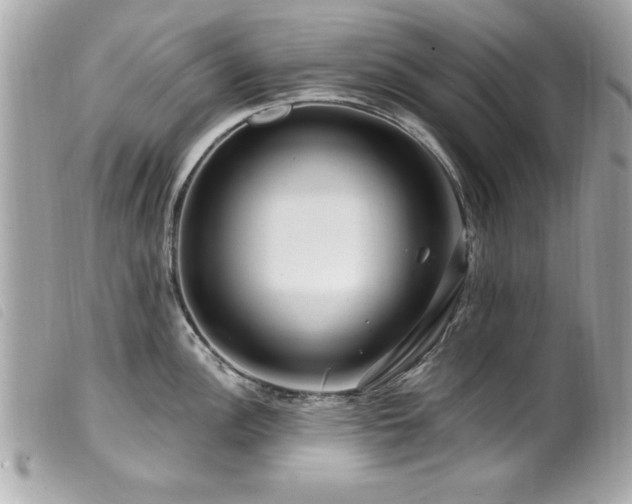 X0000100211148200805301320