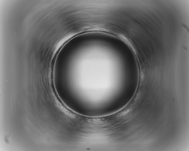 X0000100211149200805301320