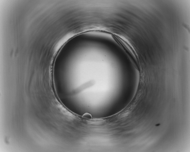 X0000100211151200805301320