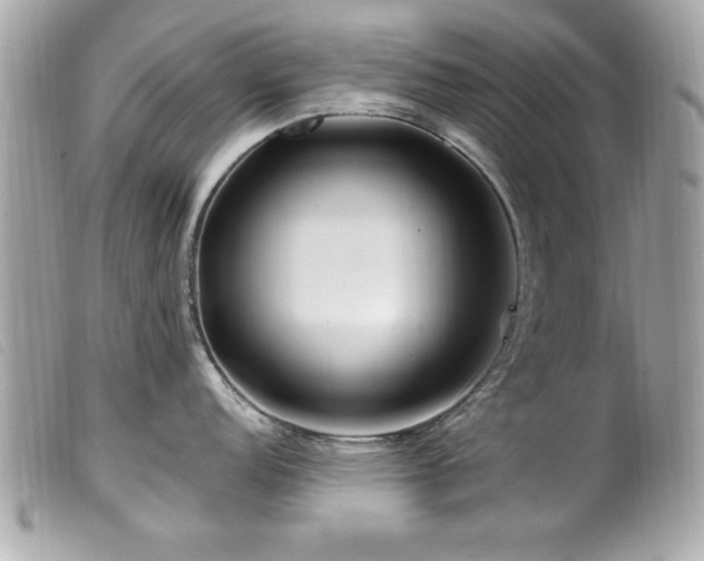 X0000100211152200805301320