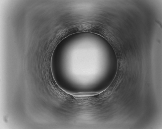 X0000100211153200805301320