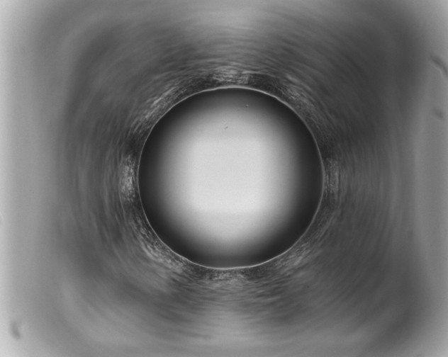 X0000100211154200805301320