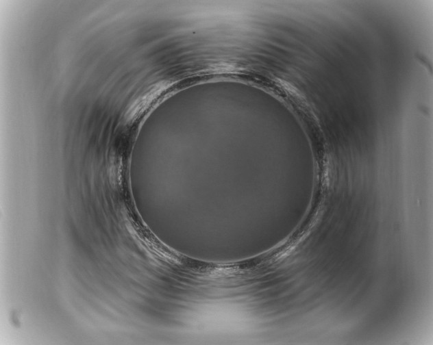 X0000100211161200805301320