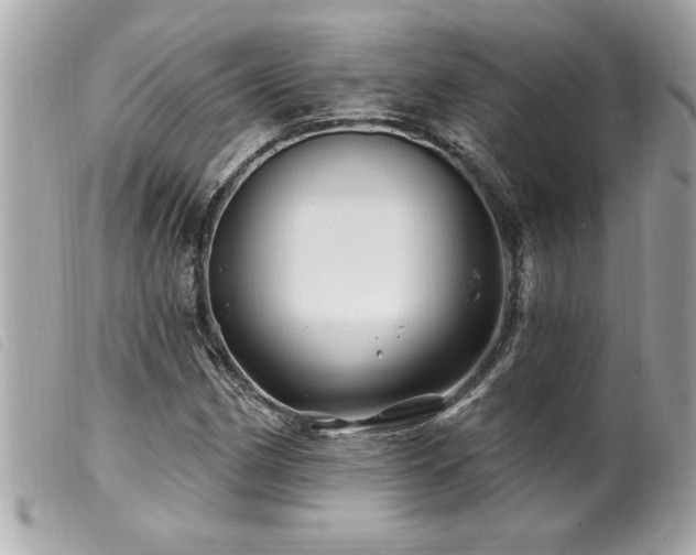 X0000100211162200805301320