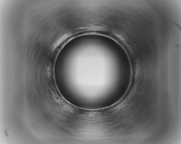 X0000100211163200805301320