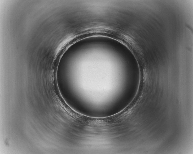 X0000100211164200805301320