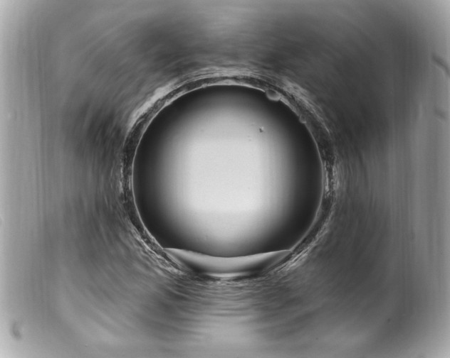 X0000100211165200805301320