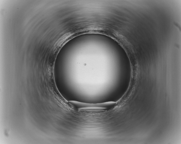 X0000100211169200805301319
