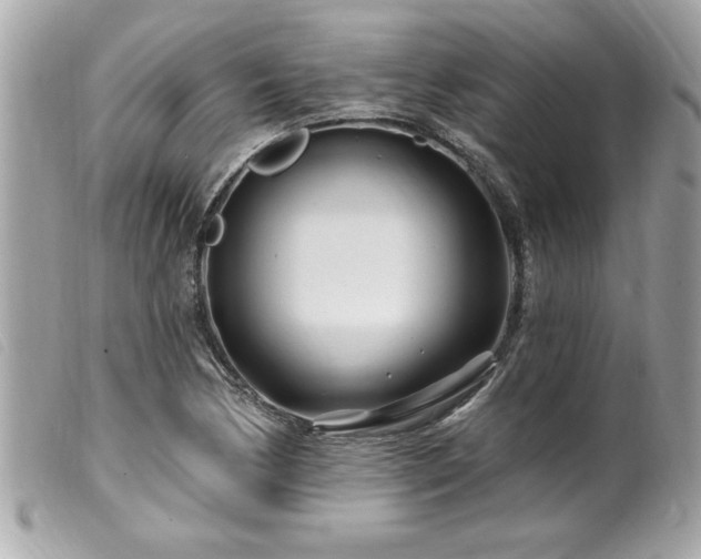 X0000100211170200805301319