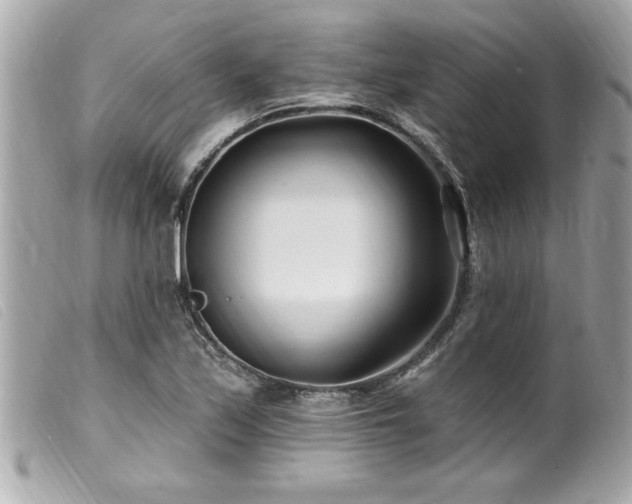 X0000100211171200805301319