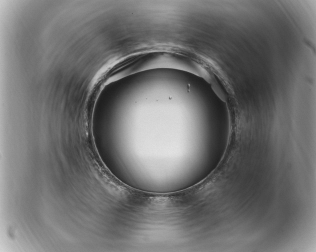 X0000100211172200805301319